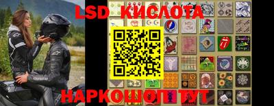 шишки Бузулук