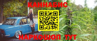 таблы Будённовск