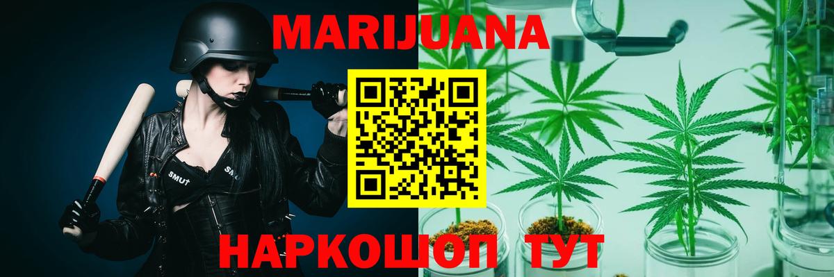 Конопля гибрид Псков